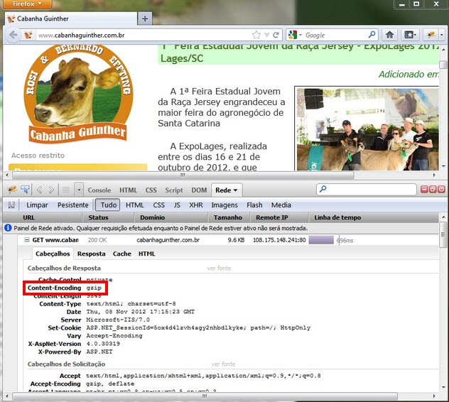 firebug
