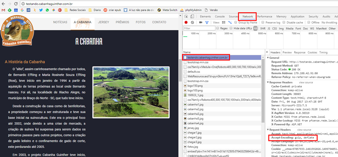 gzip