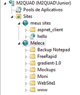 iis3