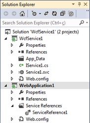 ws6